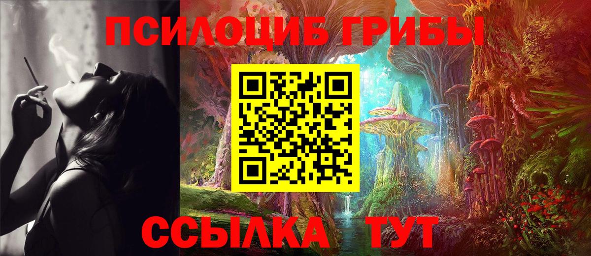 Псилоцибиновые грибы Psilocybine cubensis Рязань